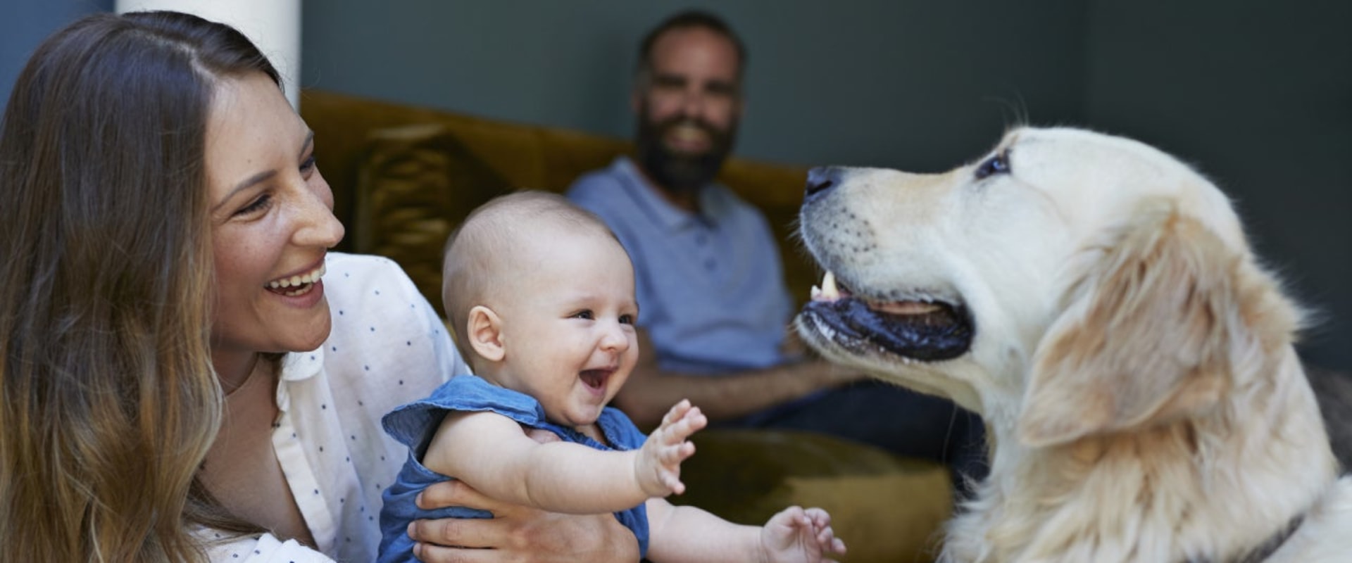 What life insurance covers?